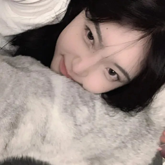 在布鲁日